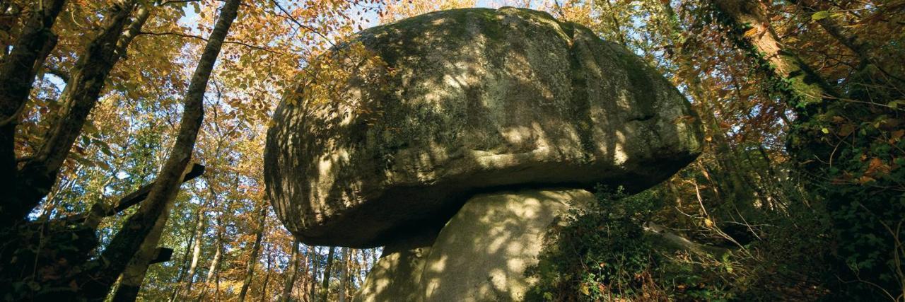 Chambre D'Hôtes De La Roche Tremblante Huelgoat Exterior foto
